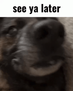 Lazy Dog Want's To See You Later  GIF