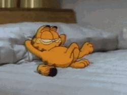 Lazy Garfield In Room GIF
