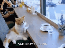 Lazy Saturday Chilling GIF