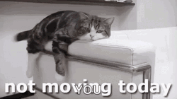 Lazy Saturday Not Moving Today GIF