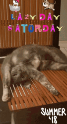 Lazy Saturday Summer GIF