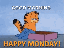 Lazy  Sleepy Garfield Funny Monday Meme GIF