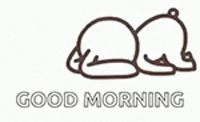 Lazy Sunday Bunny Rabbit GIF