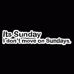 Lazy Sunday Do Not Move GIF