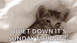 Lazy Sunday Quiet Down GIF