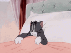 Lazy Sunday Tom Tucked In Bed GIF