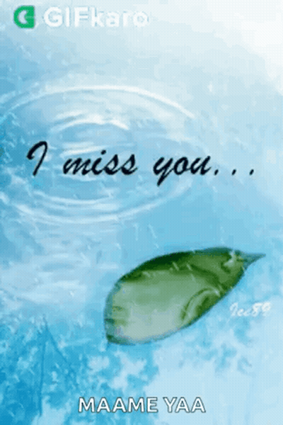 Leaf In Water Saying I Miss You GIF