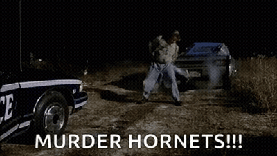 League Of Legends Defeat Screen GIF