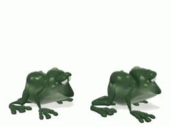 Leaping Frog Animated GIF