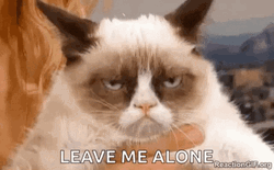 Leave Me Alone Grumpy Cat GIF