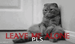 Leave Me Alone Lonely Kitty GIF