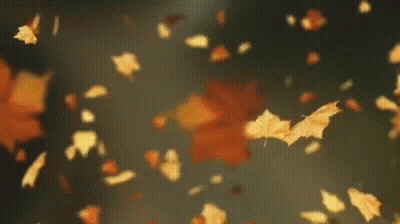 Leaves Falling From Sky