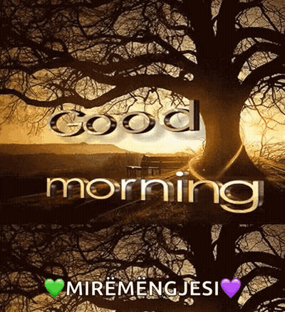 Leaves With Hello October GIF