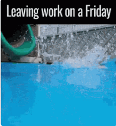 Leaving Work On Friday Dog Sliding GIF