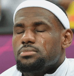 Lebron Crying Meme GIF