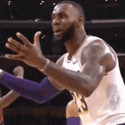 Lebron Crying Squat Down GIF