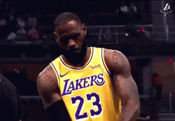 Lebron GIF