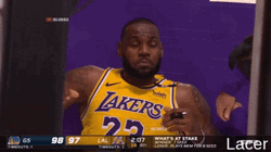 Lebron Flop Deep Breath GIF