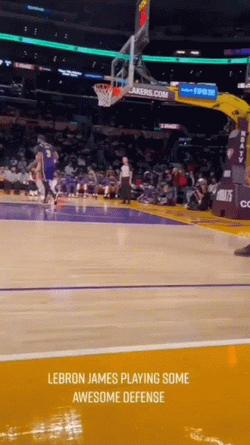 Lebron Flop Just Standing GIF