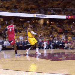 Lebron GIF