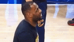 Lebron James Ball Headshot GIF