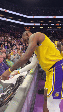 Lebron James Chalk Toss GIF
