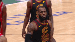 Lebron James Funny Salute GIF