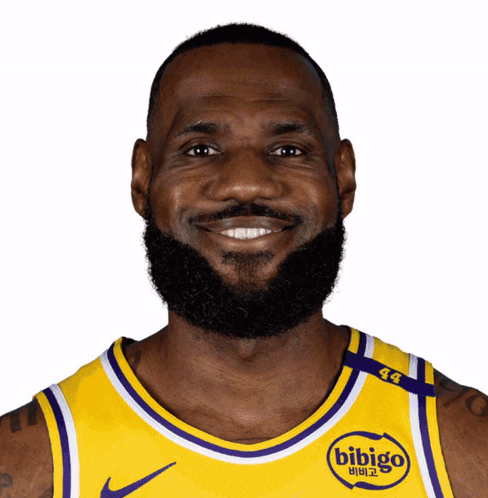 Lebron James Is Wearing A Bibigo Jersey GIF