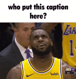 Lebron Lebron James GIF