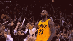 Lebron GIF