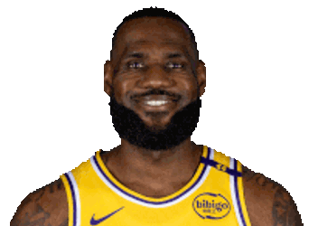 Lebron Sticker GIF
