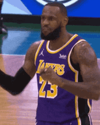 Lebron GIF