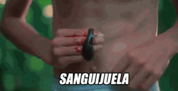 Leech Blood Sucker Sanguijuela GIF
