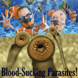 Leech Blood Sucking Parasites GIF