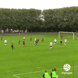 Lefty Guy Kicked The Ball For Goal GIF