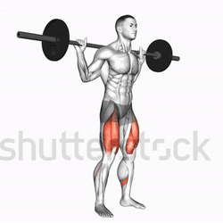 Leg Day Barbell Full Squat GIF