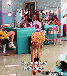 Legally Blonde GIF
