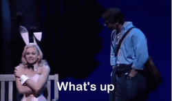 Legally Blonde Musical Whats Up Doc GIF