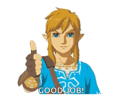 Legend Of Zelda Tears Of The Kingdom Approves GIF