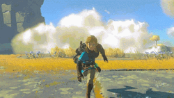 Legend Of Zelda Tears Of The Kingdom Fast Run GIF