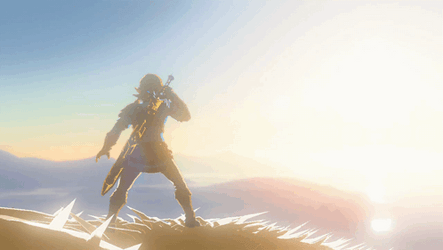 Legend Of Zelda Tears Of The Kingdom Looking Away GIF