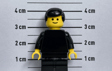 Lego Jail Mug Shot GIF