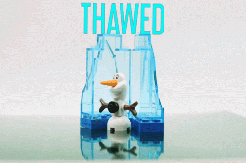 Lego Man Pushing Wheelbarrow With Mop Saying Thawed