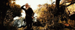 Legolas Attacking With Arrow GIF