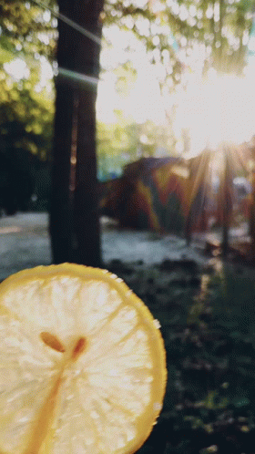 Lemon Slice Held In Front Of Sun GIF