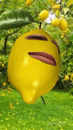 Lemon Weird Face GIF