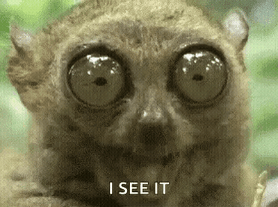 Lemur Eyes Saying I See It GIF