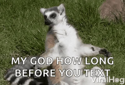 Lemur Lying On Back In Grass My God How Long Before You Text GIF