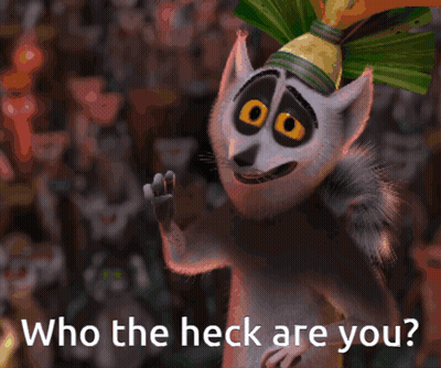 Lemur Saying Who The Heck Are You GIF