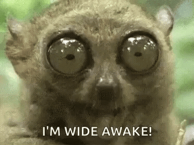 Lemur With Big Eyes And Wide Awake Text GIF